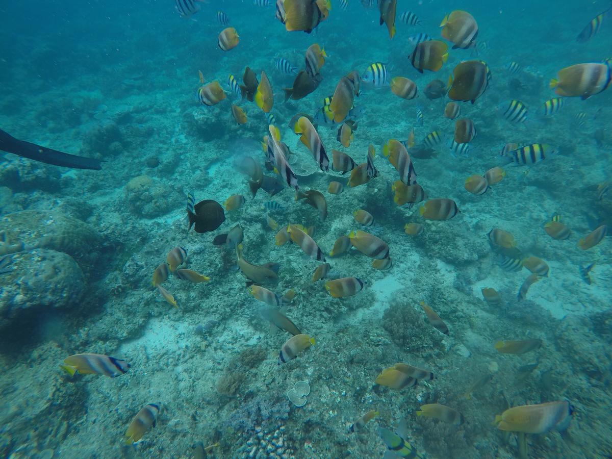 Meisya Cottage Gili Trawangan Zewnętrze zdjęcie