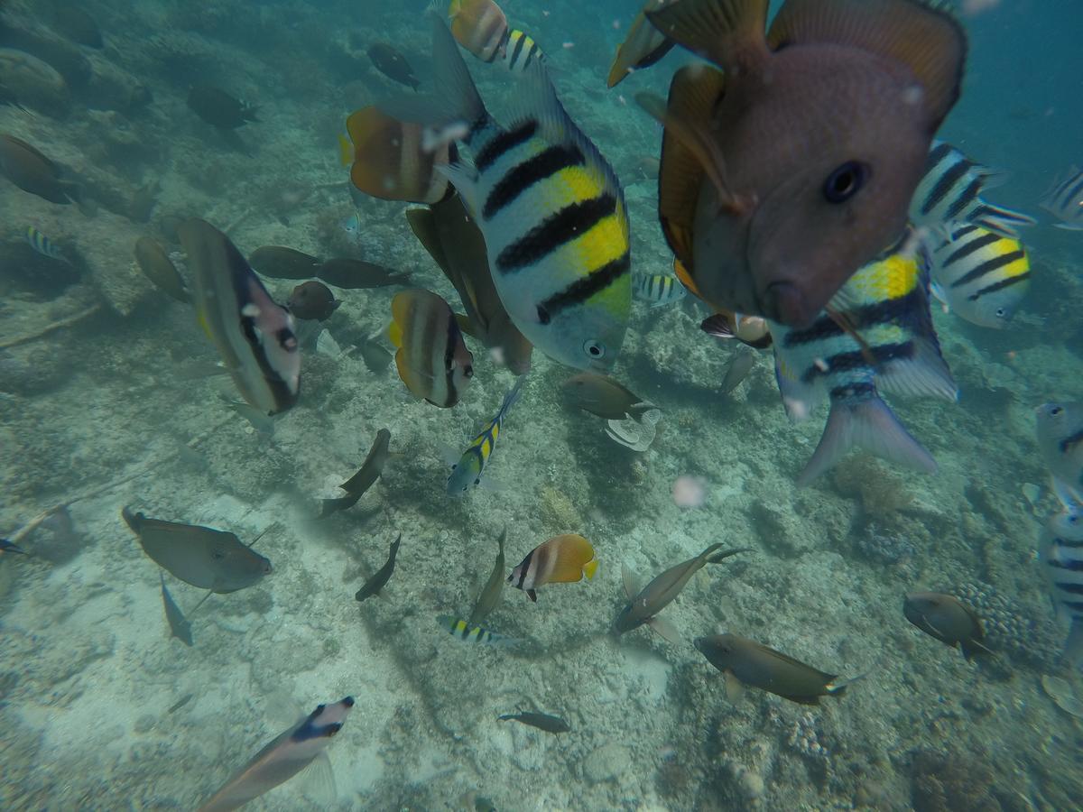 Meisya Cottage Gili Trawangan Zewnętrze zdjęcie